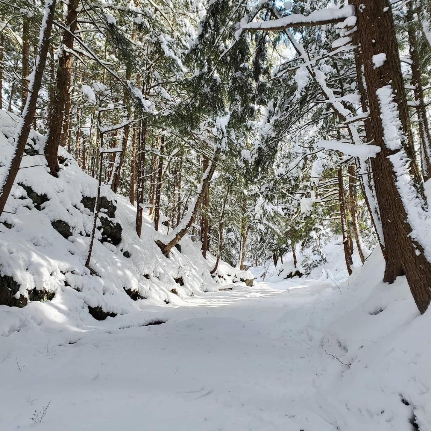 Paradis Sauvage Geronimo Saint-Etienne-de-Bolton Екстериор снимка