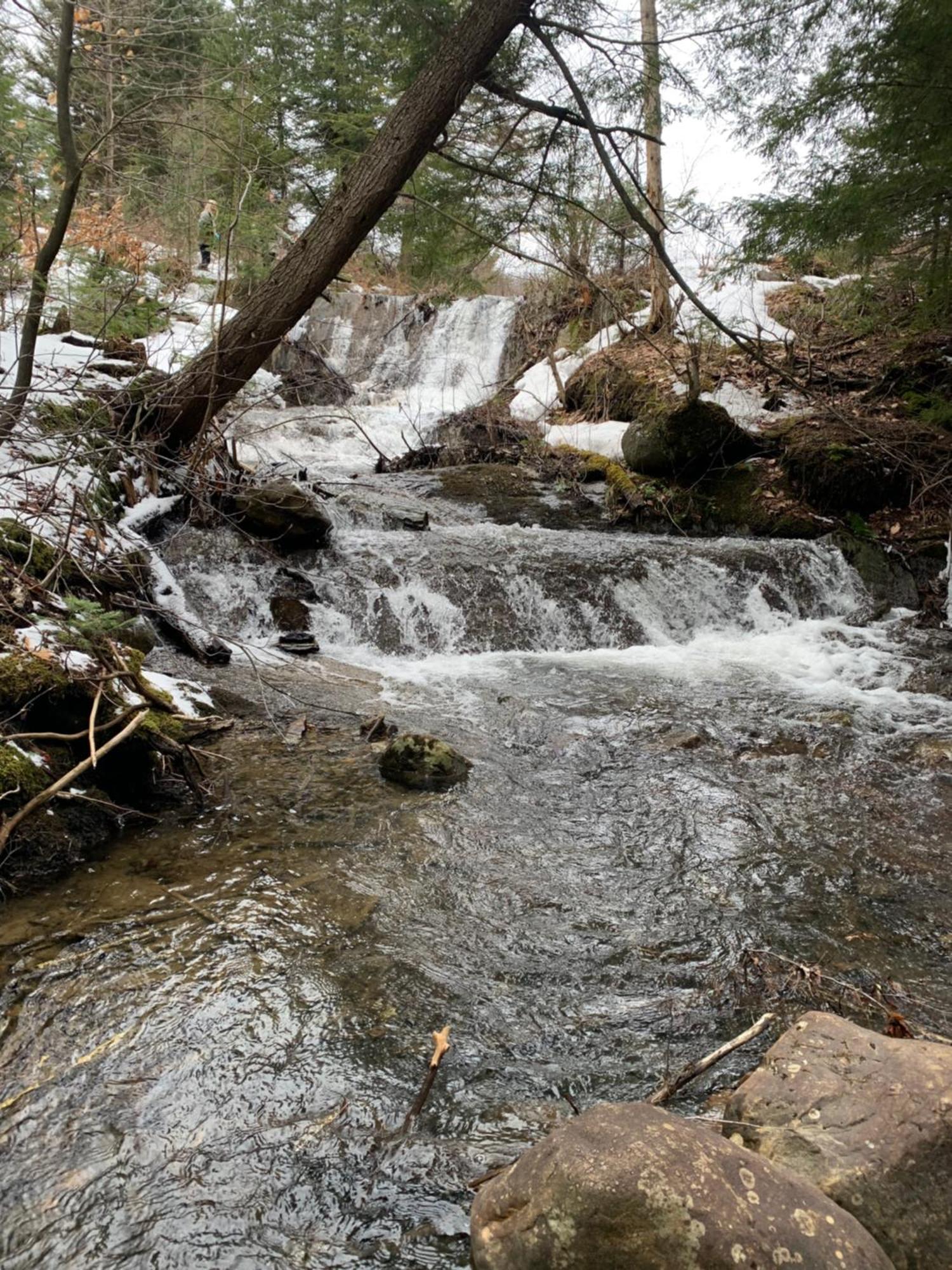 Paradis Sauvage Geronimo Saint-Etienne-de-Bolton Екстериор снимка